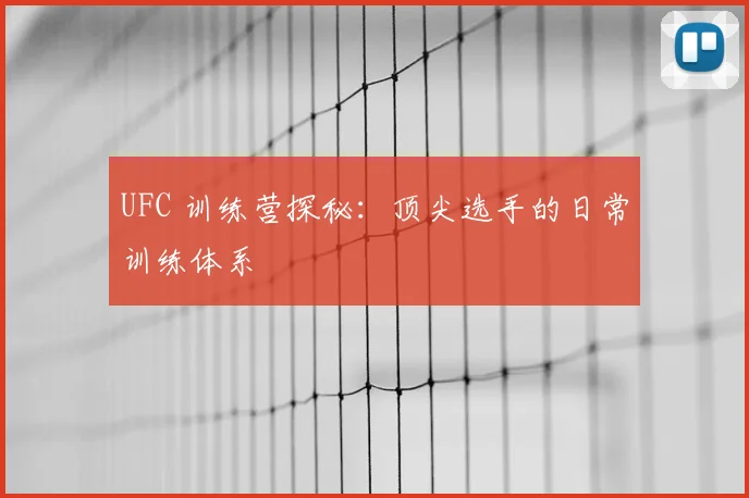 UFC 训练营探秘：顶尖选手的日常训练体系