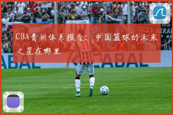 CBA青训体系报告：中国篮球的未来之星在哪里