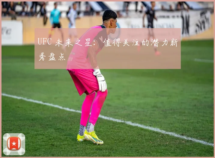 UFC 未来之星：值得关注的潜力新秀盘点