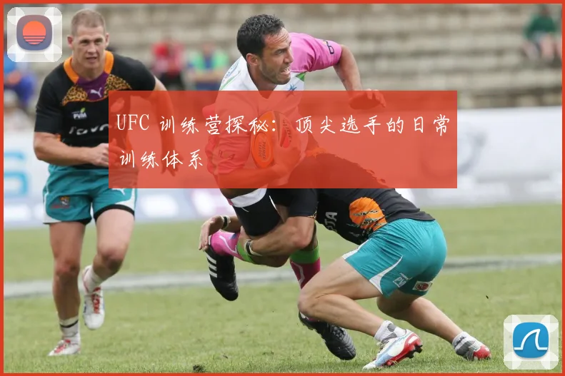 UFC 训练营探秘：顶尖选手的日常训练体系