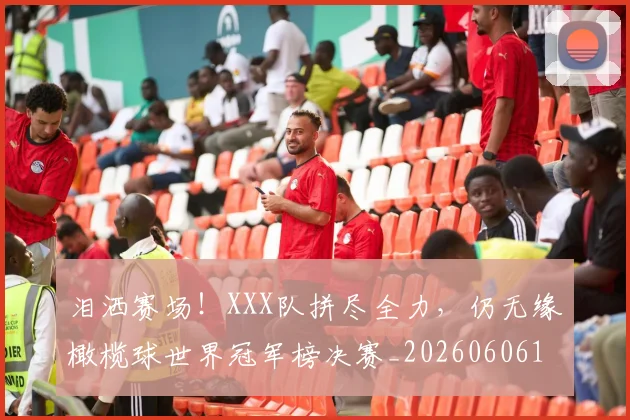 泪洒赛场！XXX队拼尽全力，仍无缘橄榄球世界冠军榜决赛_20260606145902